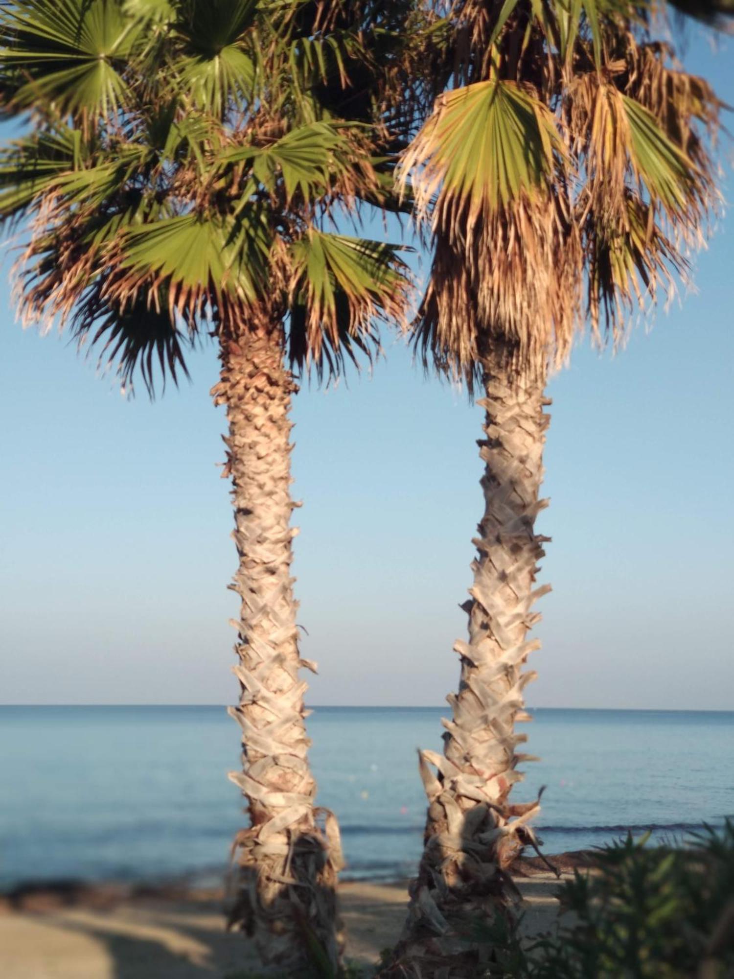 Cofanomare Bed & Breakfast Custonaci Bagian luar foto